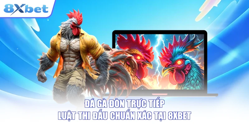 Đá Gà Đòn Trực Tiếp - Luật Thi Đấu Chuẩn Xác Tại 8XBET