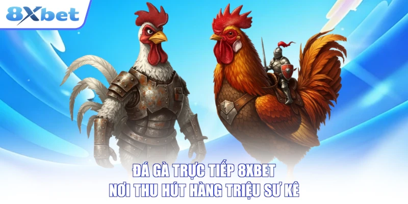 Đá Gà Trực Tiếp 8XBET - Nơi Thu Hút Hàng Triệu Sư Kê