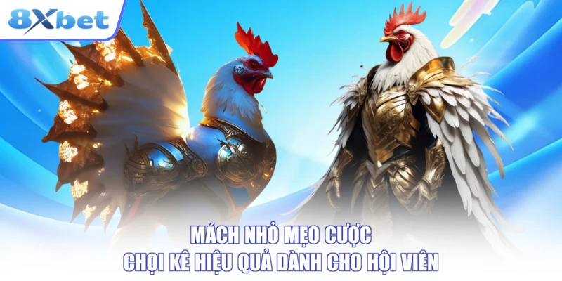 Mách nhỏ mẹo cược chọi kê hiệu quả dành cho hội viên