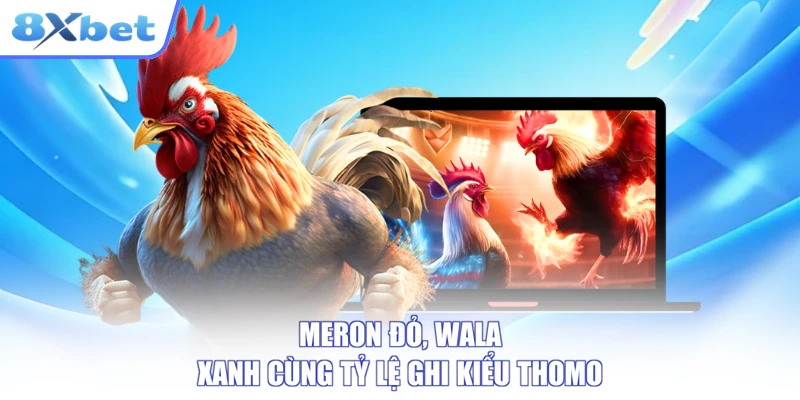 Meron đỏ, Wala xanh cùng tỷ lệ ghi kiểu Thomo