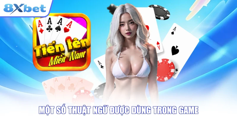 Một số thuật ngữ được dùng trong game