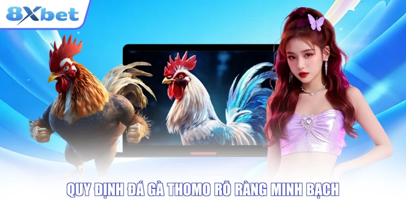 Quy định đá gà thomo rõ ràng minh bạch
