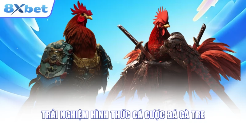 Trải nghiệm hình thức cá cược đá gà tre