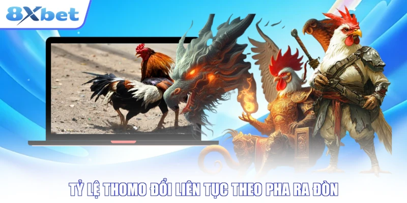 Tỷ lệ Thomo đổi liên tục theo pha ra đòn